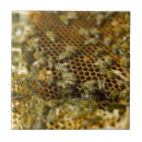 Recherche de ruche carreaux Animal