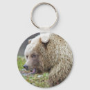 Recherche de ours gris porteclés Nature