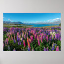 Recherche de zélande art Paysage