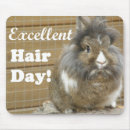 Recherche de humour de cheveux Lapin