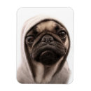 Recherche de tirs magnets Consumerproduct