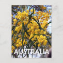Recherche de arbre jaune cartes postales Vert