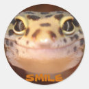 Recherche de geckos autocollants Lézard