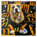 Recherche de pitbull carreaux Pour tous