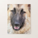 Recherche de alsacien puzzles Pour tous