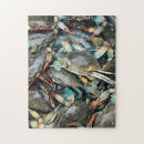 Recherche de crabe puzzles Mer