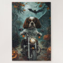 Recherche de cavalier king charles puzzles Chien