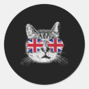 Recherche de chat rond Présidente