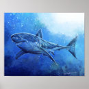 Recherche de grand requin blanc posters Poisson