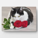Recherche de joli chat plaques Mignon