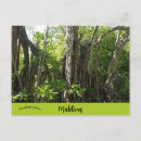 Recherche de maldives cartes postales Asie