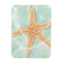 Recherche de poissons magnets Charklia zarris