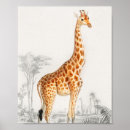 Recherche de vintage giraffe art Nature