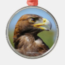 Recherche de aigle ornements Oiseau de proie