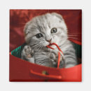 Recherche de christmas folders Animal
