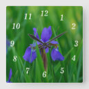 Recherche de néerlandais horloges Fleur