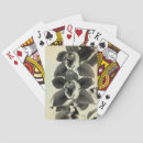 Recherche de vierge jeux de cartes Photographie
