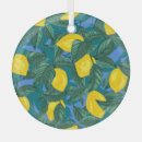 Recherche de agrume ornements Nourriture