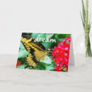 Recherche de rêve de papillon vœux cartes Pour tous