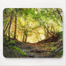 Recherche de feuille vert tapis souris Photographie de la nature