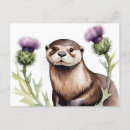 Recherche de chardon écossais cartes postales Violet