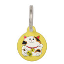 Recherche de lucky cat Calico