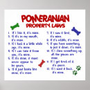 Recherche de chien pomeranian posters Chiens