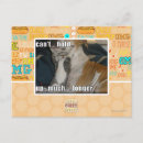 Recherche de impossible cartes postales Je peux avoir cheezburger