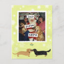 Recherche de wienies cartes postales Chien