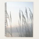 Recherche de de matin bureau fournitures Photographie