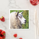 Recherche de cocktail photographie Animaux