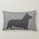Recherche de corgis coussins Chien