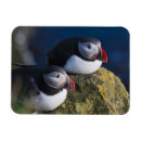 Recherche de atlantique magnets Ciel