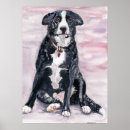 Recherche de colley posters Animal