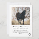 Recherche de cheval blanc noir invitations Fer à cheval