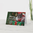 Recherche de chat bleu russe vœux cartes Photographie