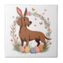 Recherche de lapin de pâques carreaux Animal