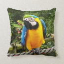 Recherche de ara coussins Exotique