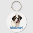 Recherche de saint bernard accessoires Dog