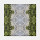 Recherche de moser magnets Nature