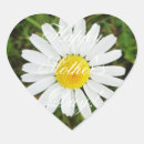Recherche de bouquet de marguerite autocollants Fleurs
