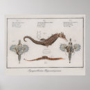 Recherche de zoologique posters Dessin