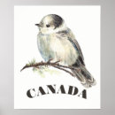 Recherche de oiseau geai posters Aquarelle