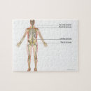 Recherche de corps humain puzzles Petite entreprise