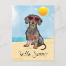 Recherche de chien de weiner cartes postales Dachsie