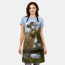 Recherche de oiseau tabliers Faucon
