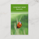 Recherche de coccinelle cartes visite Animaux