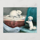Recherche de fido Chiot
