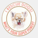 Recherche de chippie autocollants Chiots