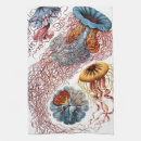 Recherche de tentacules cuisine linges Vie marine